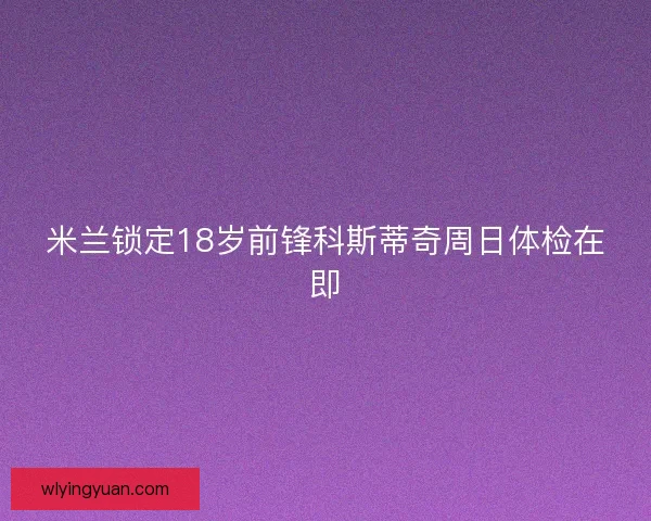 米兰锁定18岁前锋科斯蒂奇周日体检在即