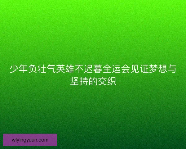 少年负壮气英雄不迟暮全运会见证梦想与坚持的交织
