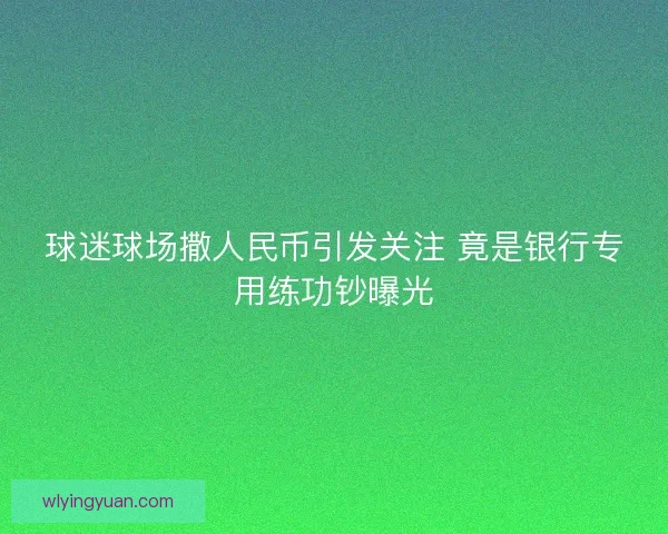 球迷球场撒人民币引发关注 竟是银行专用练功钞曝光 球迷球场撒人民币引发关注 竟是银行专用练功钞曝光
